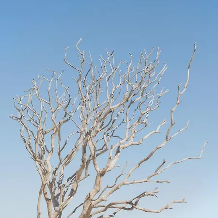 Relais Bellavista 5 Bed & Breakfast 4*