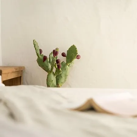 B&B Relais Bellavista 5