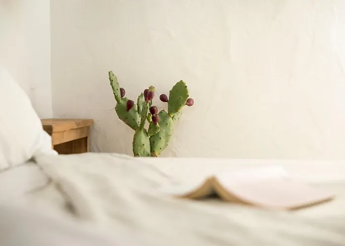 Bed & Breakfast Relais Bellavista 5
